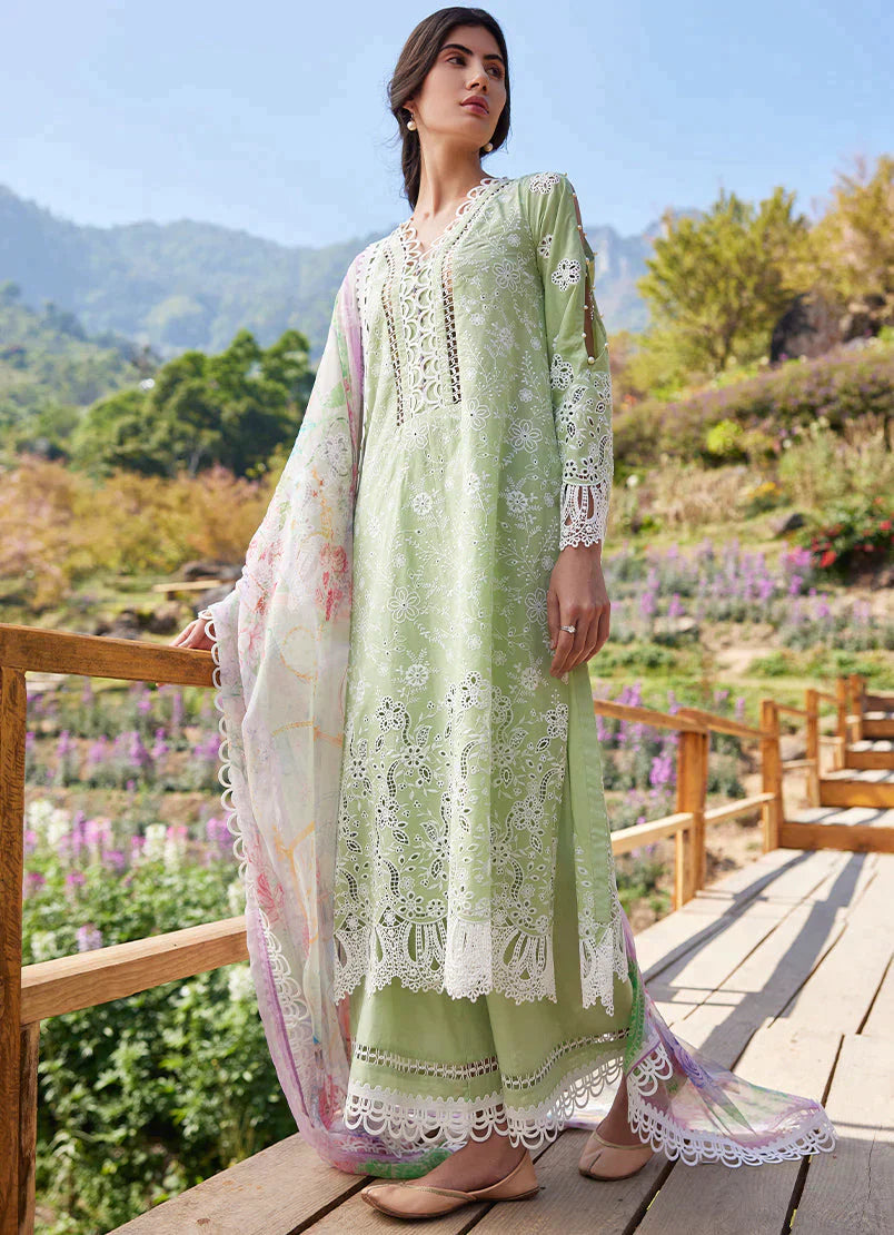 3 Piece - Embroidered Chiffon | Image (Stitched)